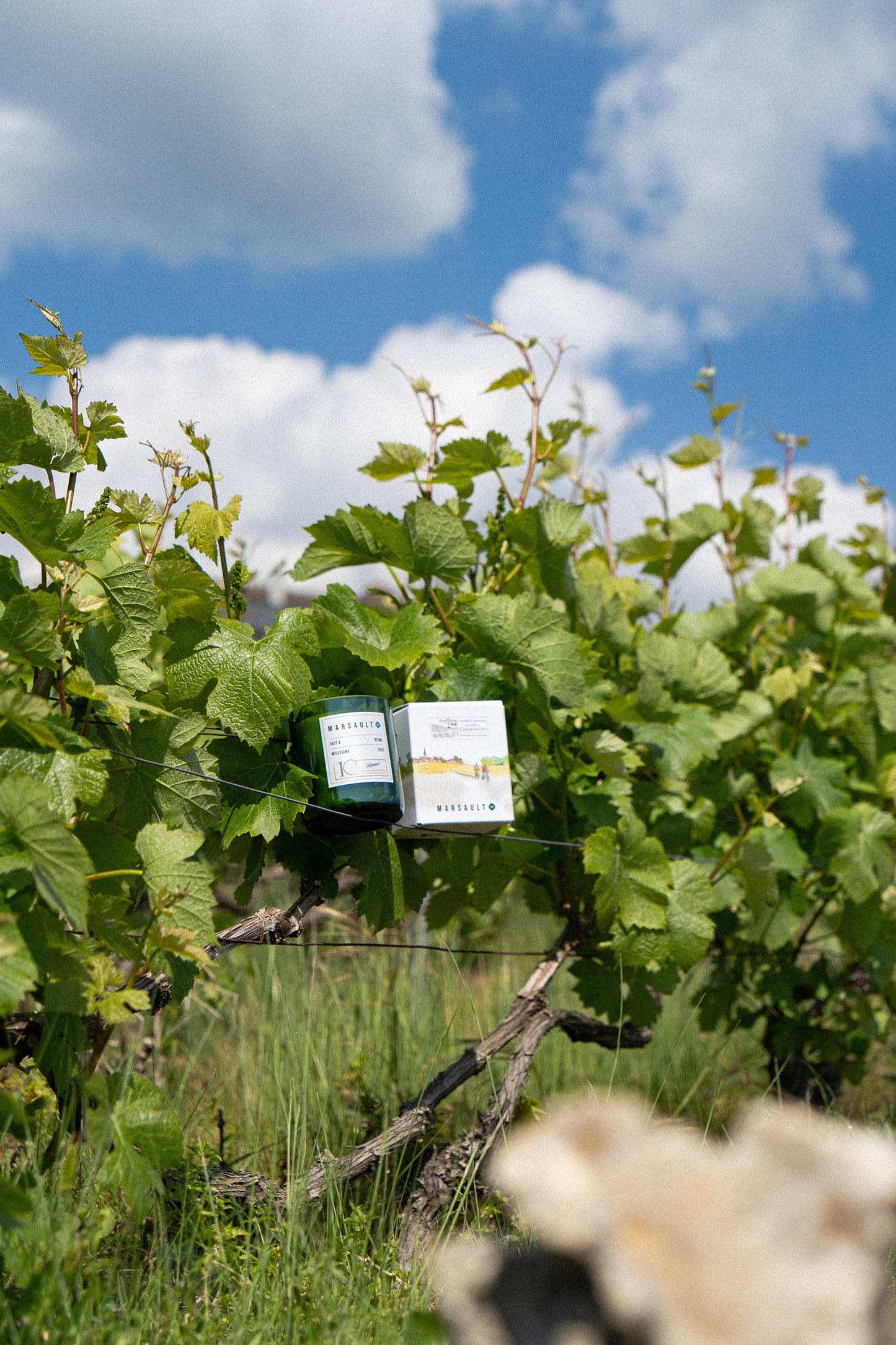 BOUGIE MARSAULT X 10 ANS UNESCO