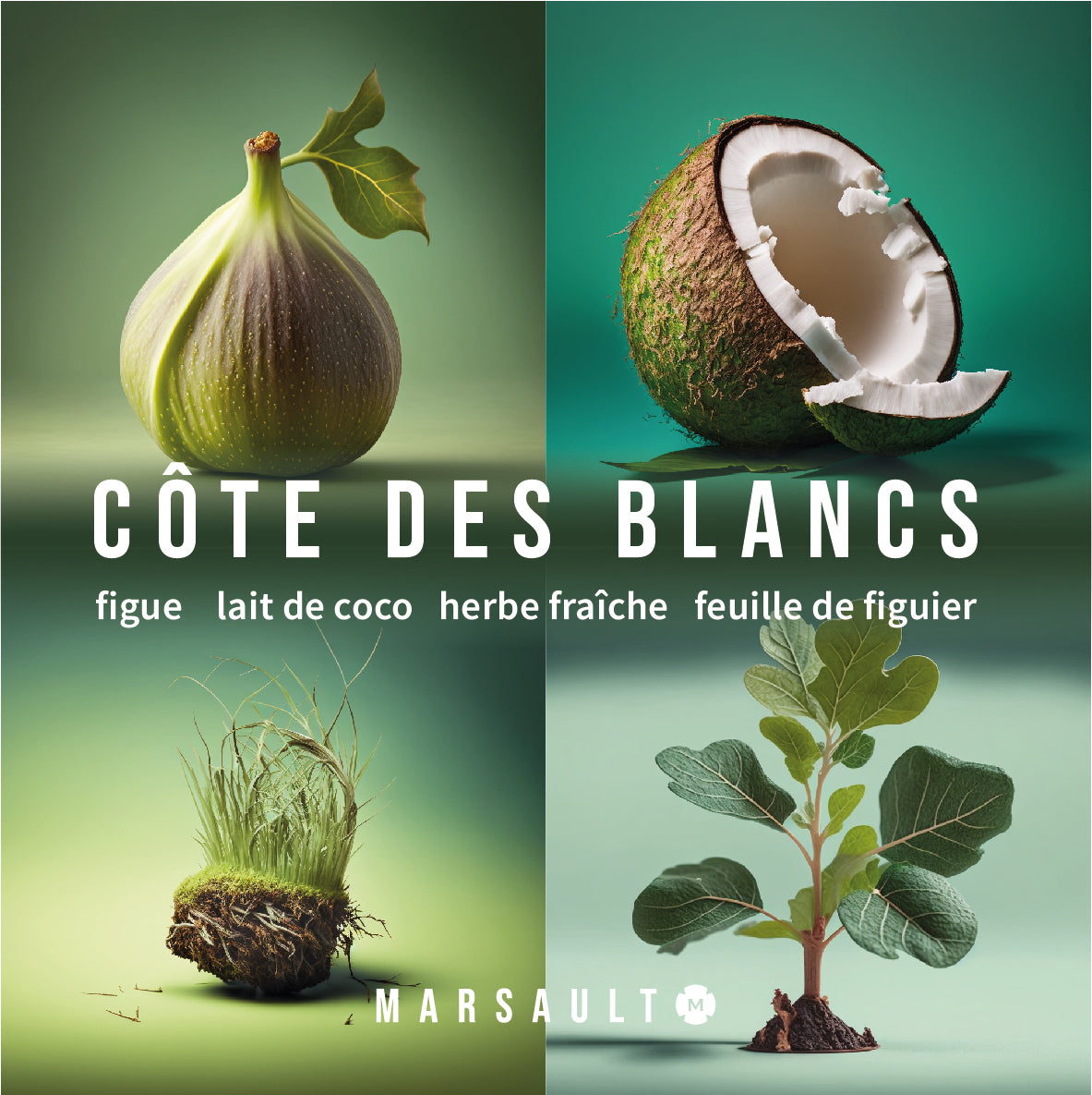 Bougie MARSAULT "Côte des Blancs"