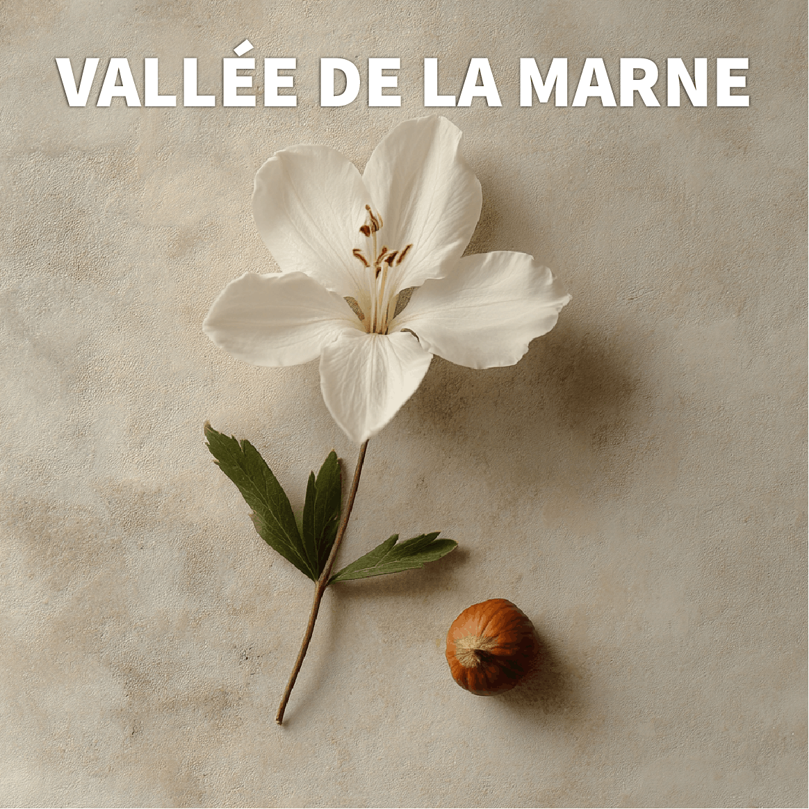 Triptyque : 3 formats de bougies