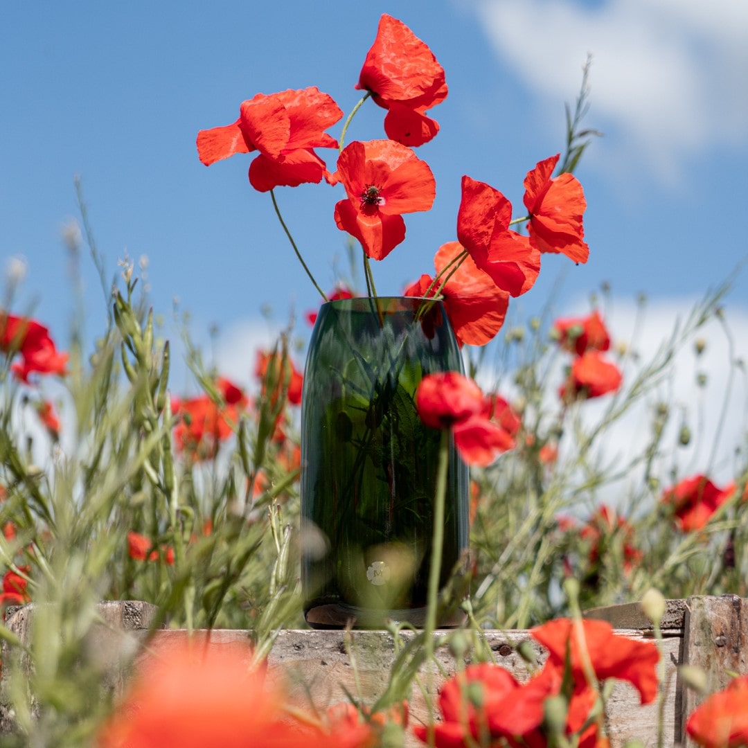 Vase format bouteille de la marque Marsault au soleil avec des coquelicots dedans et du vent