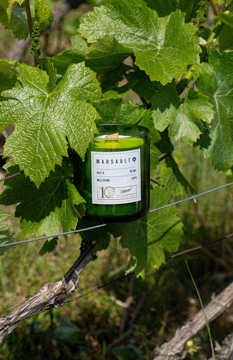 BOUGIE MARSAULT X 10 ANS UNESCO