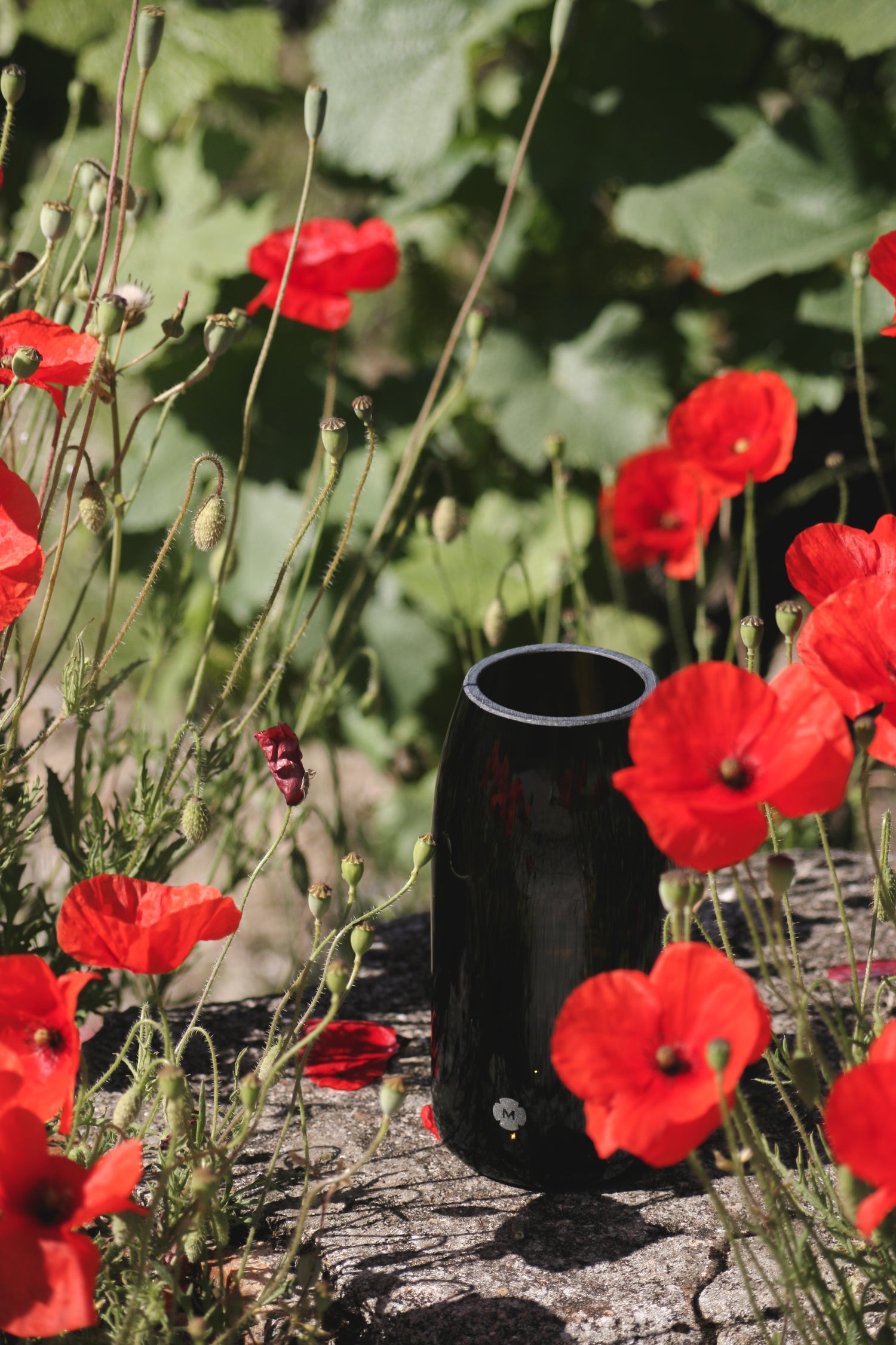 Vase de la marque Marsault Reims dans un champs de coquelicot
