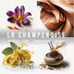 Bougie MARSAULT "La Champenoise"
