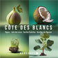 Triptyque : 3 formats de bougies