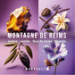 Triptyque : 3 formats de bougies