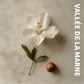 Bougie MARSAULT "Vallée de la Marne"