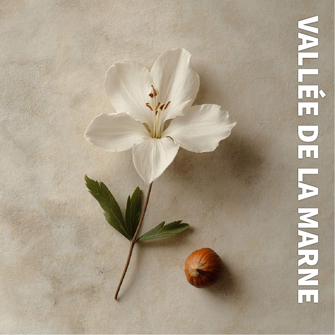 Bougie MARSAULT "Vallée de la Marne"