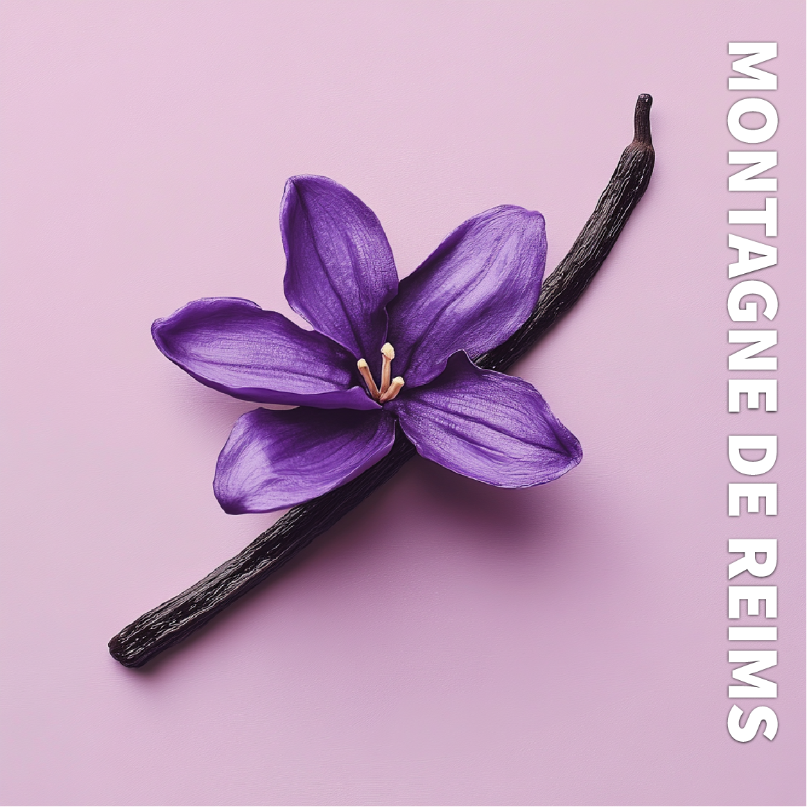 Bougie MARSAULT "Montagne de Reims"