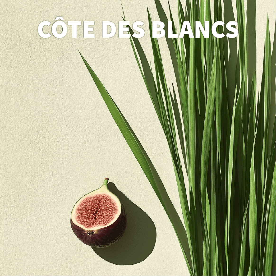 Triptyque : 3 formats de bougies