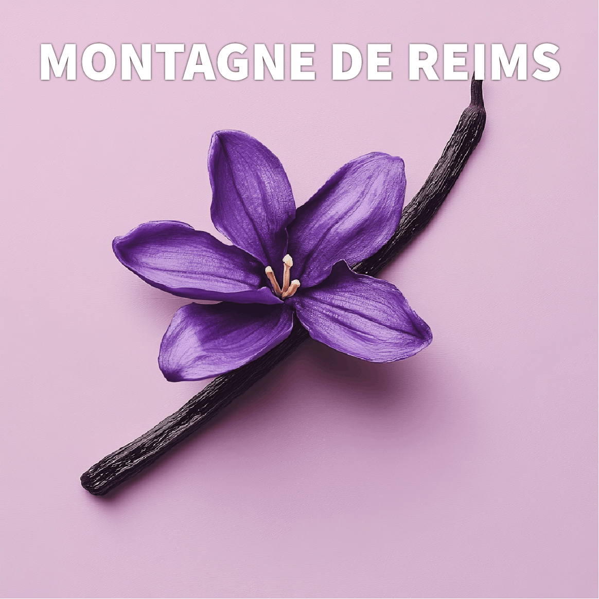 Triptyque : 3 formats de bougies