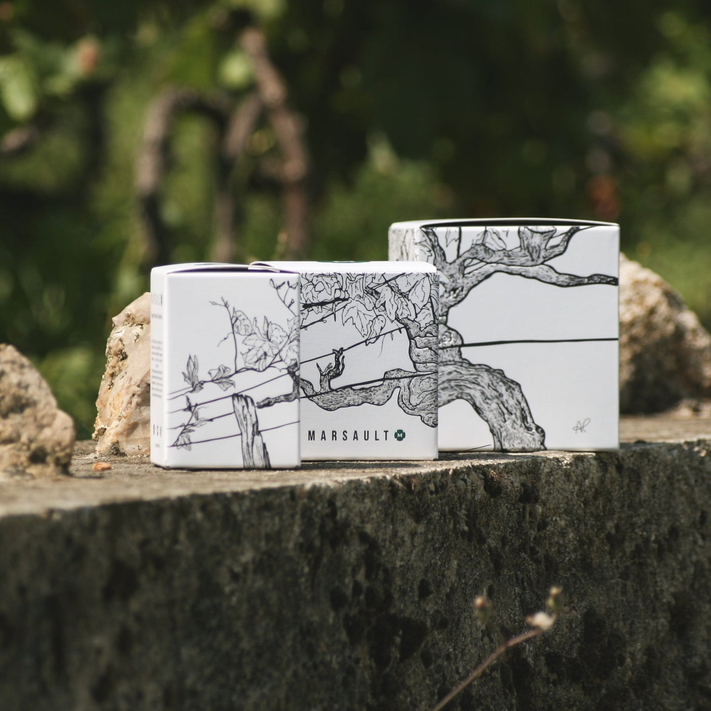 trois formats de boites en carton personnalisées par une artiste rémoise, posées sur un mur avec des pierres dans les vignes à côté de Epernay