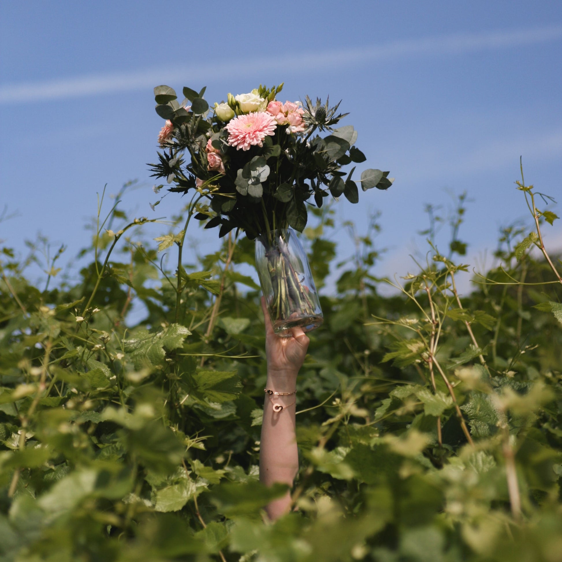 Main d'une femme qui tient un vase bouteille transparent en l'air avec des fleurs dedans au milieu des vignes. 